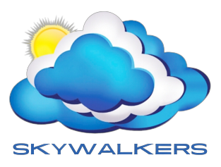 Skywalkers Advisory And Portfolio Management