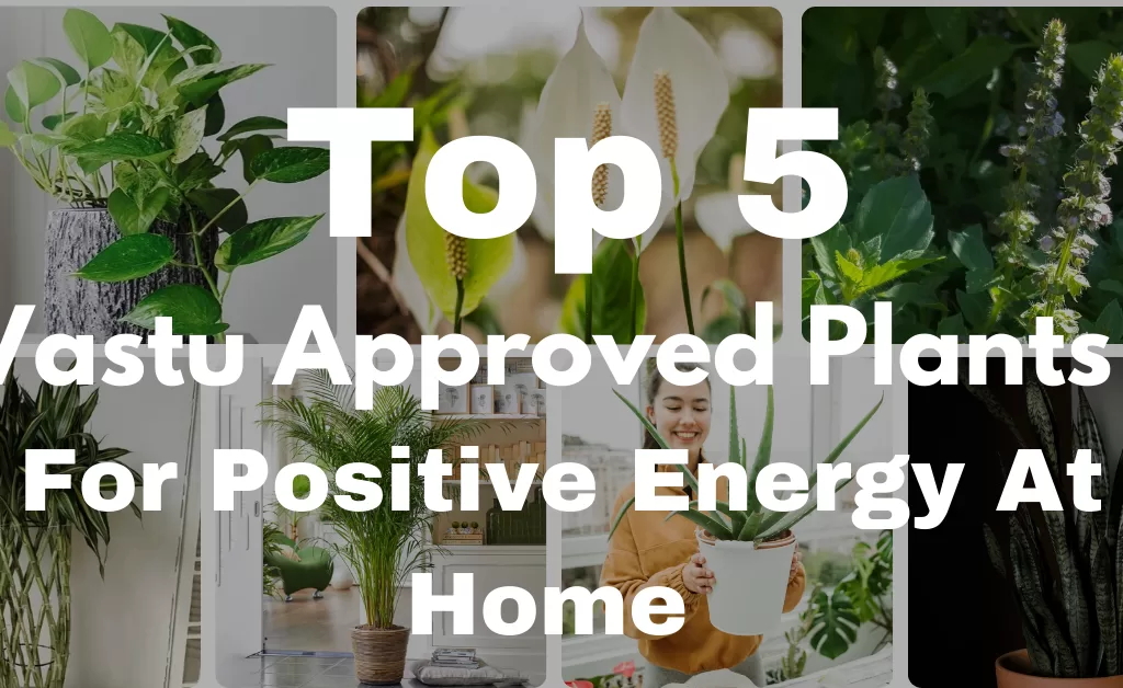 Top 7 Vastu Approved Plants for Positive Energy at Home
